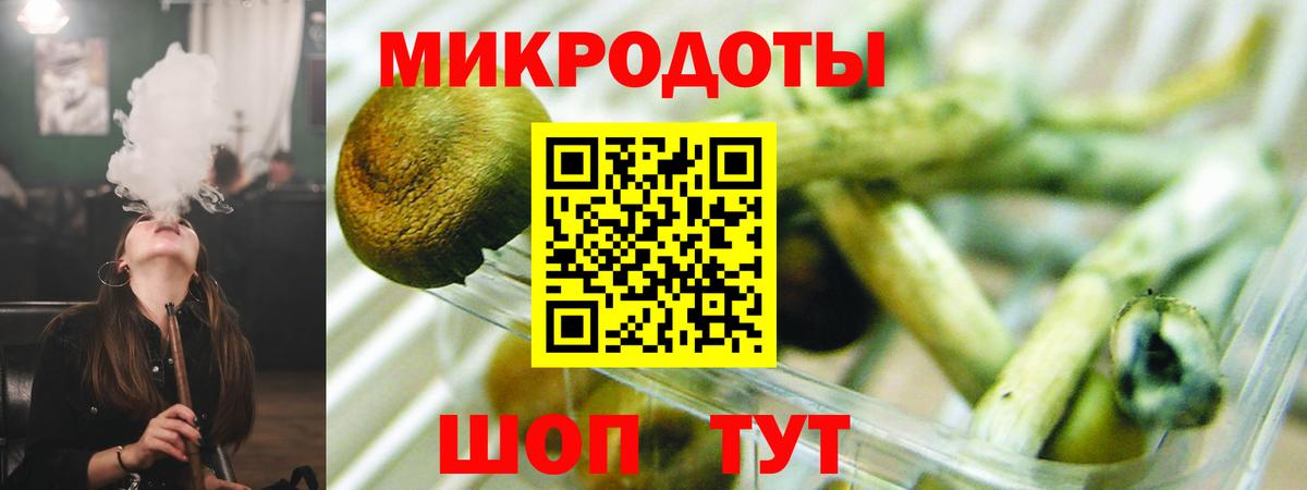 Галлюциногенные грибы прущие грибы Россия